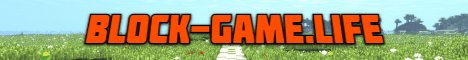 Block Game Life