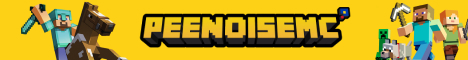 play.peenoisemc.xyz