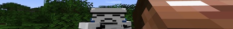 BobOnTheRob's Finest Minecraft Server