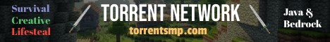 Torrent Network