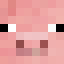 Duck SMP