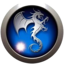la confrerie du dragon