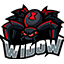 Widow Network