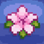 Blossom SMP