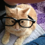 NerdcatPVP