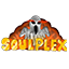 SoulPlex Network
