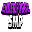 AMPLIFIED NETWORK