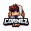 Reborn SMP