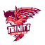 Trinity Indonesia | Anarchy Economy & Skyblock Tycoon