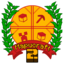 Mapucraft Chile