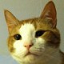 CatsCraft.net